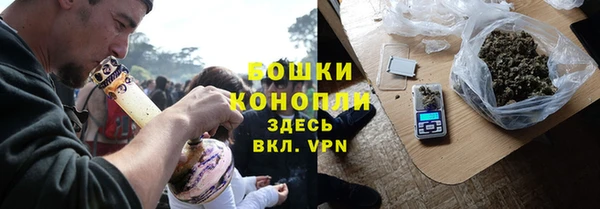 ПСИЛОЦИБИНОВЫЕ ГРИБЫ Карталы