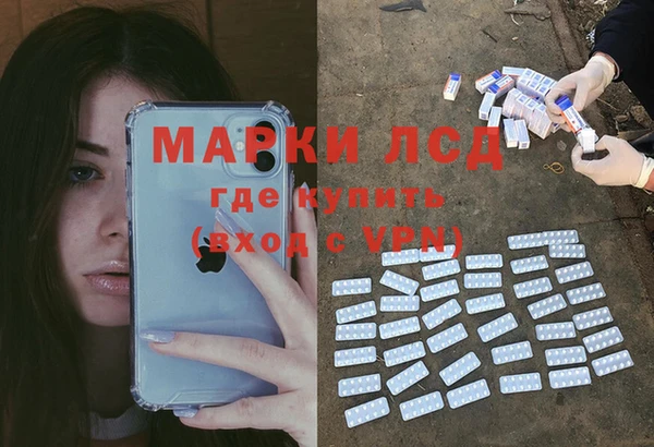 ПСИЛОЦИБИНОВЫЕ ГРИБЫ Касимов