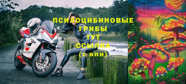 ПСИЛОЦИБИНОВЫЕ ГРИБЫ Касимов