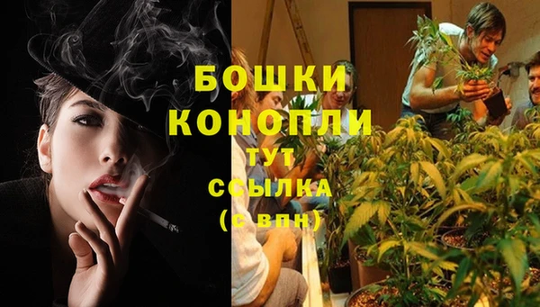 ПСИЛОЦИБИНОВЫЕ ГРИБЫ Карталы