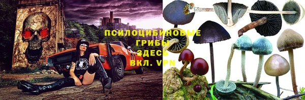 гашиш Карпинск