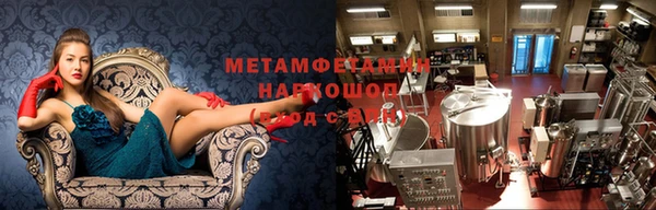 ПСИЛОЦИБИНОВЫЕ ГРИБЫ Карталы