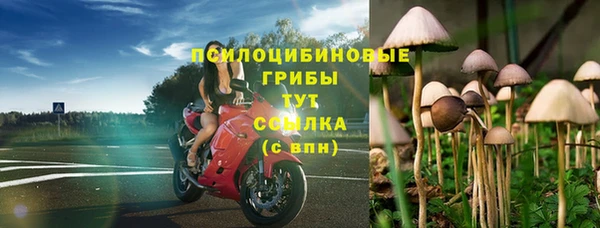 гашиш Карпинск