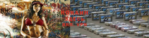 ПСИЛОЦИБИНОВЫЕ ГРИБЫ Карталы