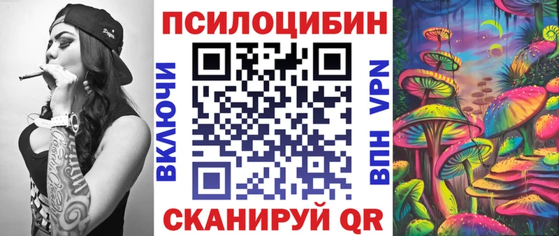 Купить  Баксан  Псилоцибиновые грибы Cubensis 